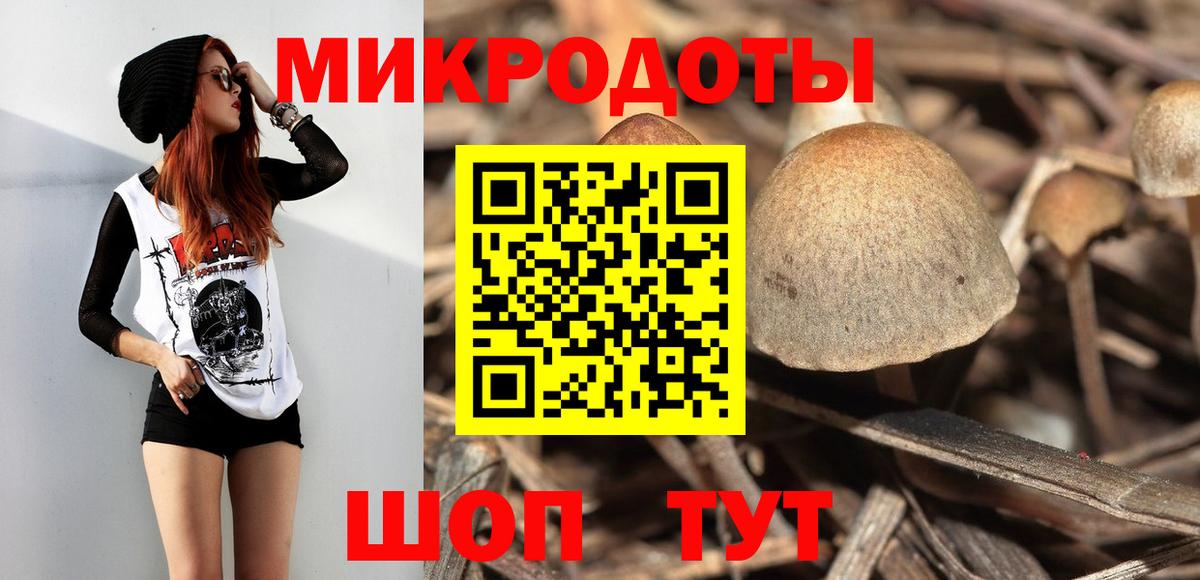 Псилоцибиновые грибы прущие грибы  Вход с VPN  Ставрополь 